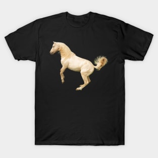 Surfer the Morgan Stallion T-Shirt